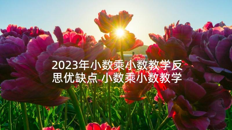 2023年小数乘小数教学反思优缺点 小数乘小数教学反思(模板10篇)