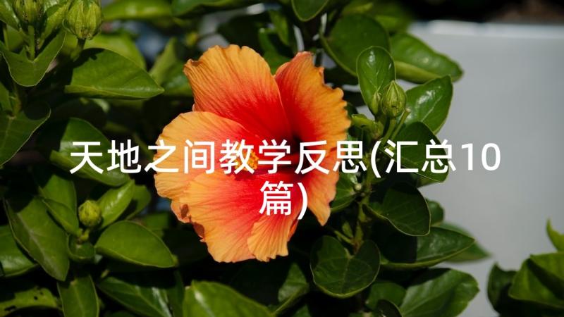 天地之间教学反思(汇总10篇)