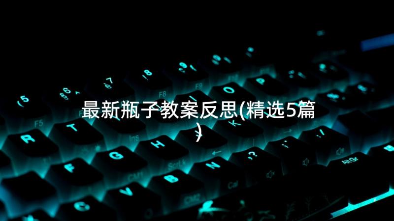 最新瓶子教案反思(精选5篇)