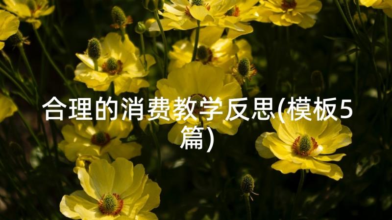 合理的消费教学反思(模板5篇)