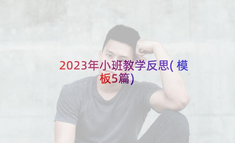 2023年小班教学反思(模板5篇)