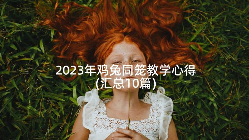 2023年鸡兔同笼教学心得(汇总10篇)