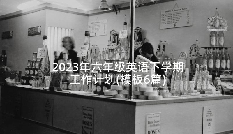 2023年六年级英语下学期工作计划(模板6篇)