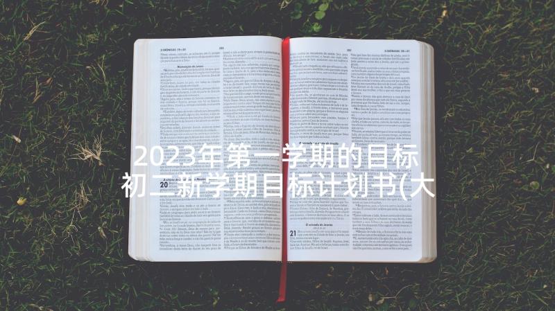 2023年第一学期的目标 初二新学期目标计划书(大全8篇)