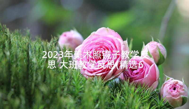 2023年美术照镜子教学反思 大班教学反思(精选6篇)