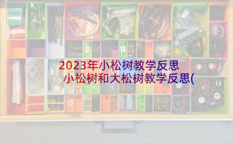 2023年小松树教学反思 小松树和大松树教学反思(模板7篇)