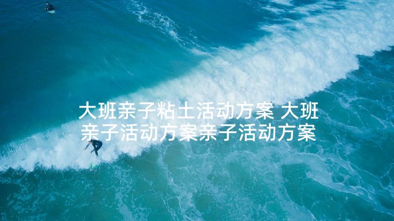 大班亲子粘土活动方案 大班亲子活动方案亲子活动方案名称(优质5篇)