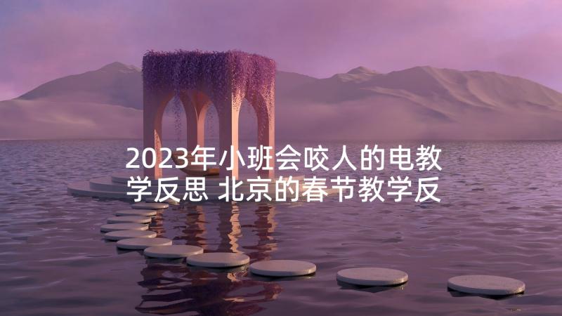 2023年小班会咬人的电教学反思 北京的春节教学反思(通用6篇)