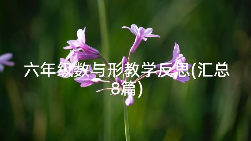 六年级数与形教学反思(汇总8篇)