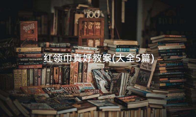 红领巾真好教案(大全5篇)