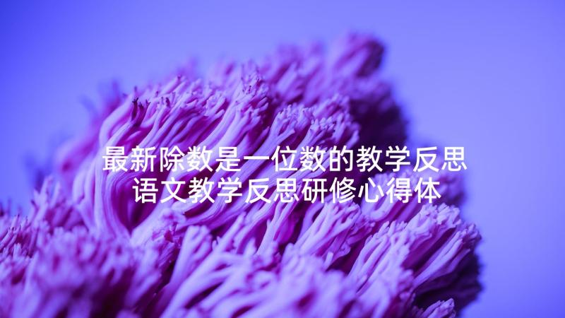 最新除数是一位数的教学反思 语文教学反思研修心得体会(通用5篇)