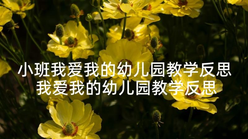 小班我爱我的幼儿园教学反思 我爱我的幼儿园教学反思(模板5篇)