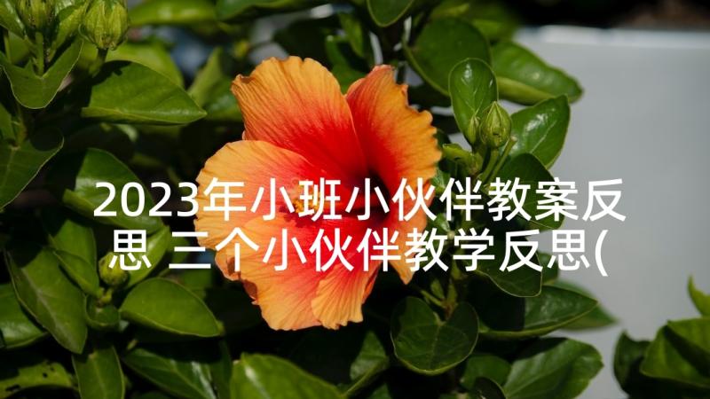 2023年小班小伙伴教案反思 三个小伙伴教学反思(汇总9篇)