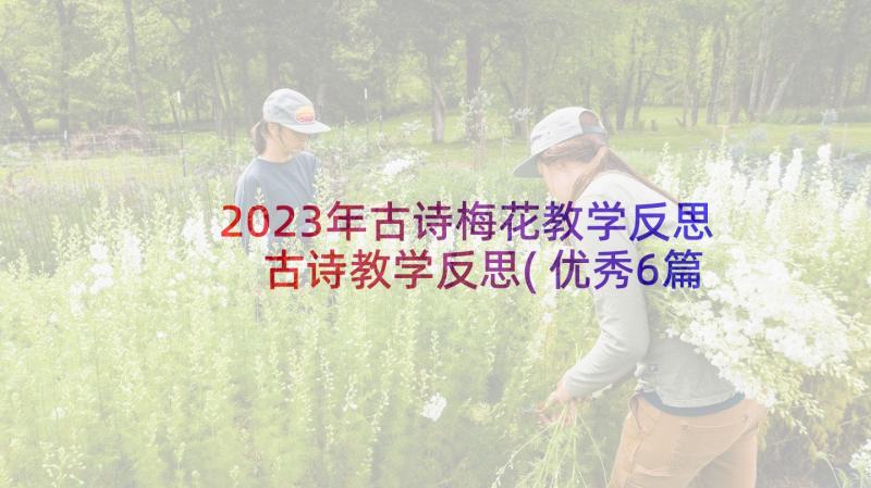 2023年古诗梅花教学反思 古诗教学反思(优秀6篇)