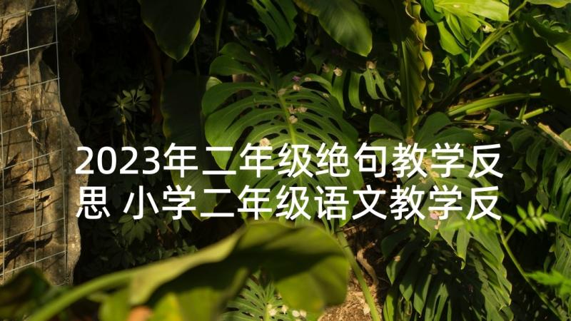 2023年二年级绝句教学反思 小学二年级语文教学反思(汇总6篇)