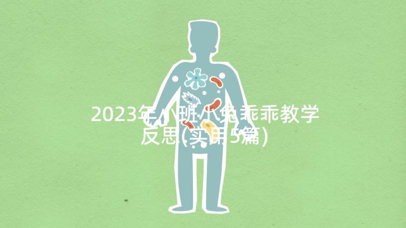 2023年小班小兔乖乖教学反思(实用5篇)