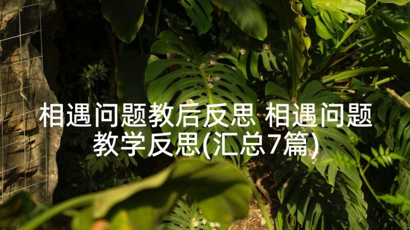 相遇问题教后反思 相遇问题教学反思(汇总7篇)