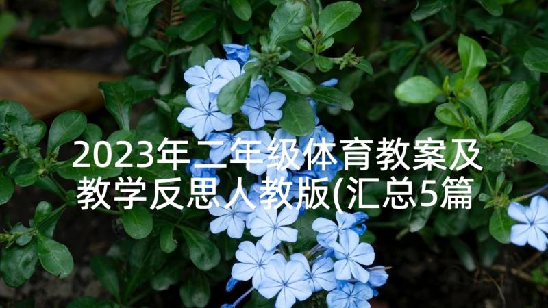 2023年二年级体育教案及教学反思人教版(汇总5篇)