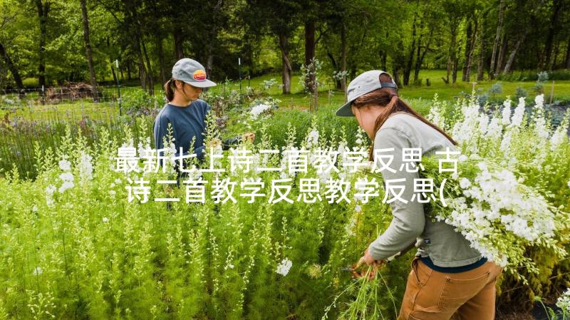 最新七上诗二首教学反思 古诗二首教学反思教学反思(大全5篇)