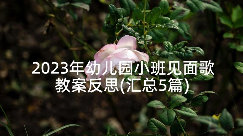 2023年幼儿园小班见面歌教案反思(汇总5篇)