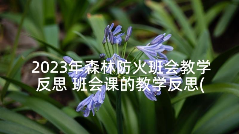 2023年森林防火班会教学反思 班会课的教学反思(汇总8篇)