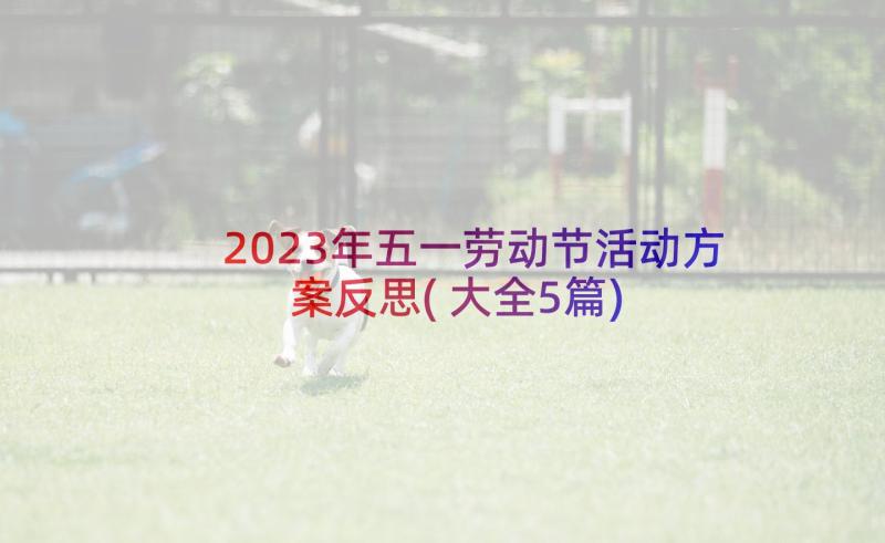 2023年五一劳动节活动方案反思(大全5篇)