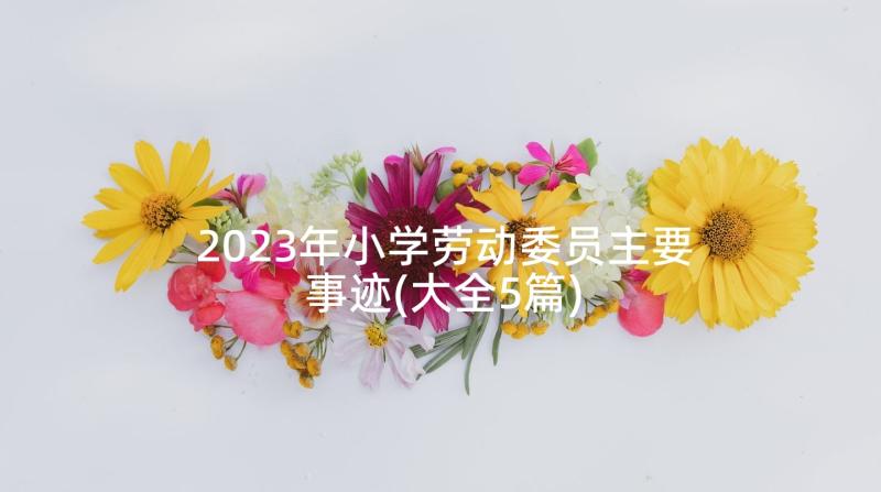 2023年小学劳动委员主要事迹(大全5篇)