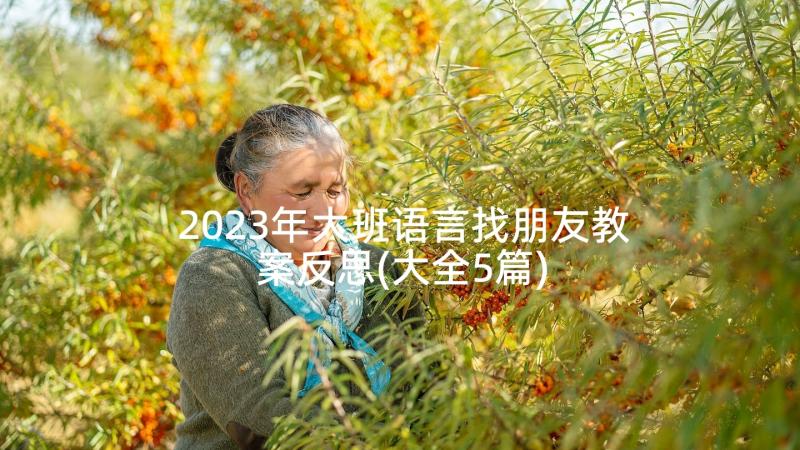 2023年大班语言找朋友教案反思(大全5篇)