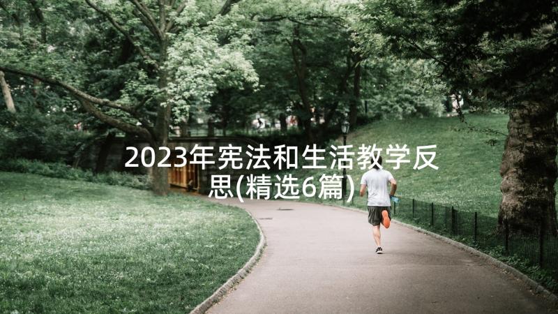 2023年宪法和生活教学反思(精选6篇)