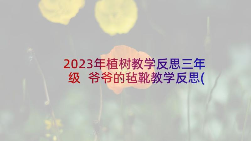 2023年植树教学反思三年级 爷爷的毡靴教学反思(大全8篇)