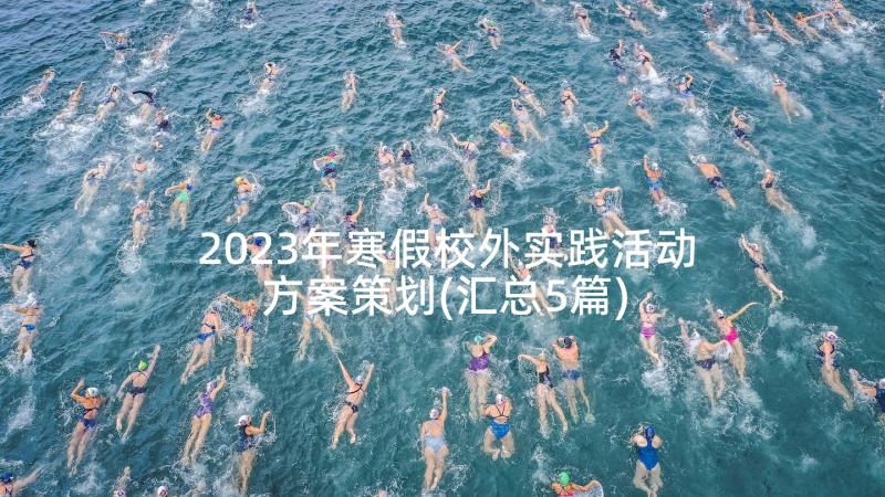 2023年寒假校外实践活动方案策划(汇总5篇)