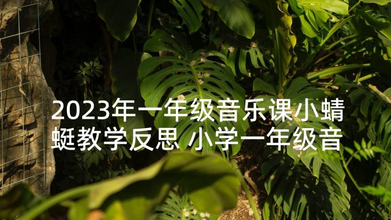 2023年一年级音乐课小蜻蜓教学反思 小学一年级音乐教学反思(汇总5篇)