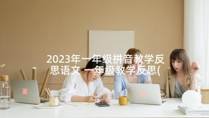 2023年一年级拼音教学反思语文 一年级教学反思(模板10篇)