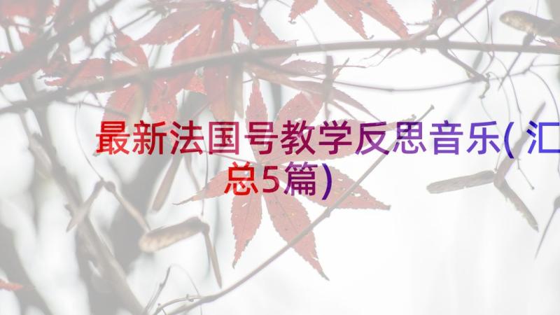 最新法国号教学反思音乐(汇总5篇)