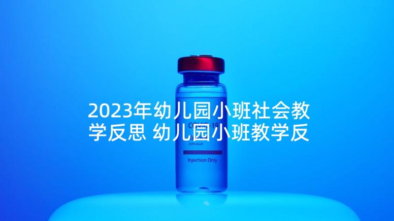 2023年幼儿园小班社会教学反思 幼儿园小班教学反思(实用7篇)