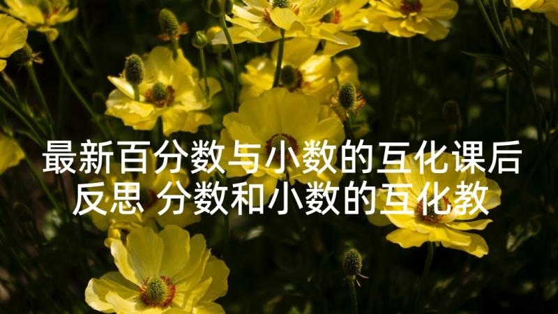 最新百分数与小数的互化课后反思 分数和小数的互化教学反思(汇总5篇)