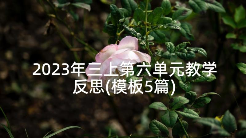 2023年三上第六单元教学反思(模板5篇)