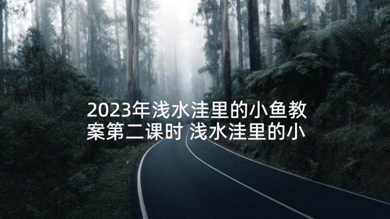 2023年浅水洼里的小鱼教案第二课时 浅水洼里的小鱼教学反思(通用5篇)