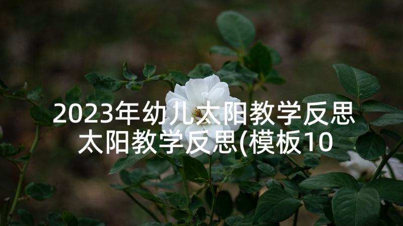 2023年幼儿太阳教学反思 太阳教学反思(模板10篇)