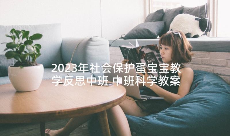 2023年社会保护蛋宝宝教学反思中班 中班科学教案及教学反思(优质10篇)