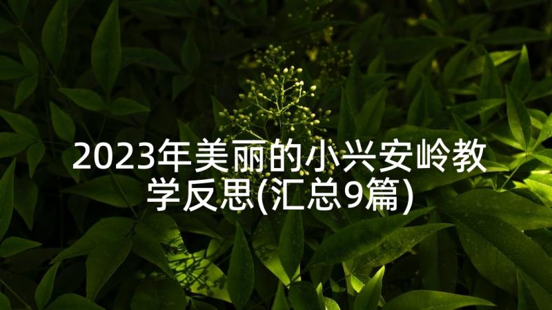 2023年美丽的小兴安岭教学反思(汇总9篇)