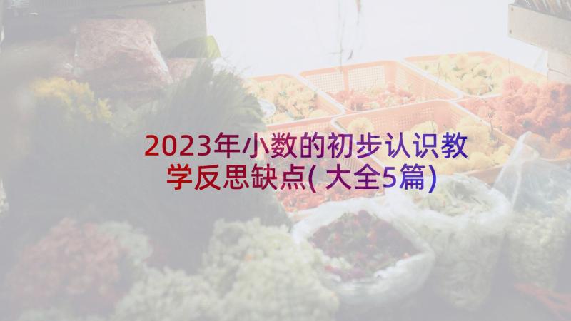 2023年小数的初步认识教学反思缺点(大全5篇)