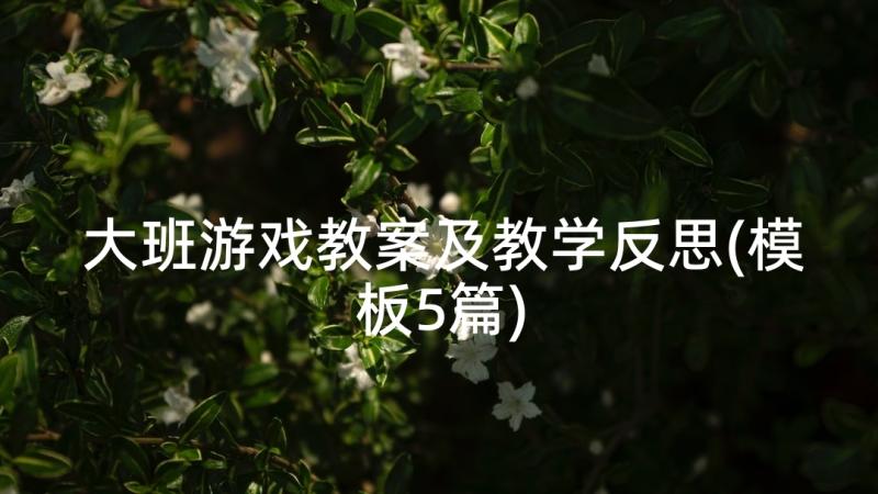 大班游戏教案及教学反思(模板5篇)