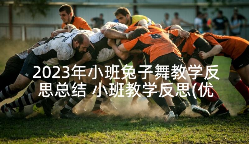 2023年小班兔子舞教学反思总结 小班教学反思(优秀5篇)