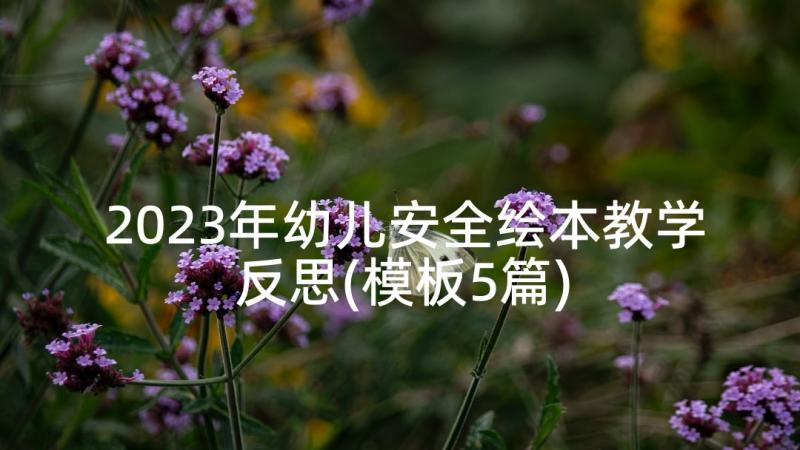 2023年幼儿安全绘本教学反思(模板5篇)