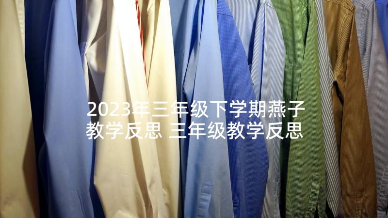 2023年三年级下学期燕子教学反思 三年级教学反思(大全7篇)