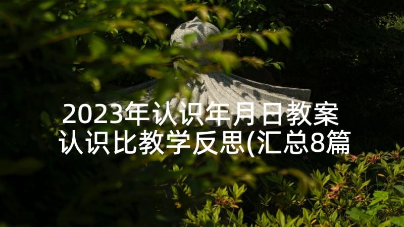 2023年认识年月日教案 认识比教学反思(汇总8篇)