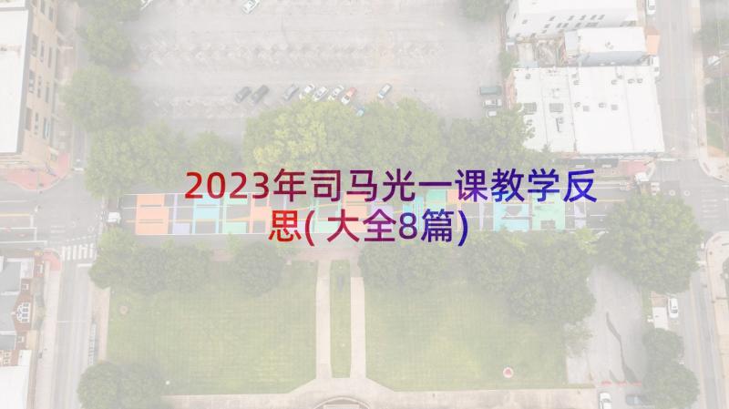 2023年司马光一课教学反思(大全8篇)
