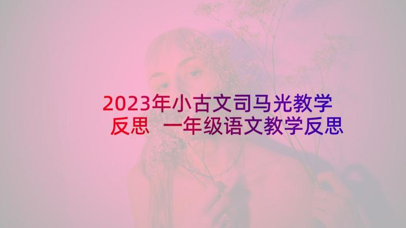 2023年小古文司马光教学反思 一年级语文教学反思(汇总10篇)