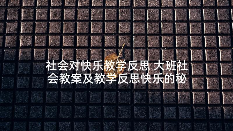 社会对快乐教学反思 大班社会教案及教学反思快乐的秘密(模板5篇)